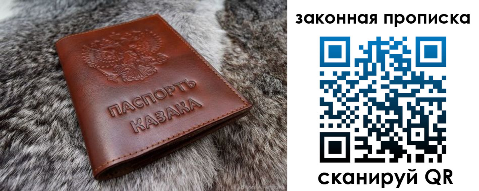 прописка в Светлогорске